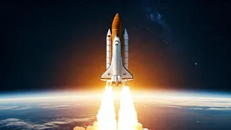 The Startup Sector Reaching For The Stars