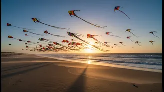 Tamil Nadu's International Kite Festival Could Reshape Everyday Decisions Around Beach Access, Weather And Festival Timings