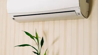 Monsoon Home Care: Keep Humidity, Damp And Mould Under Control