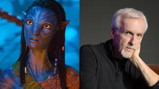 Related Stories banner