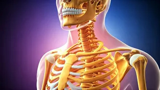 Unveiling Vitamin D: Benefits, Risks, & Dosage