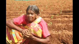 India's Agricultural Biologicals Market Poised for Multi-Billion Dollar Growth