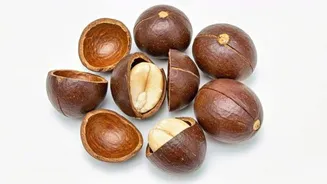 Why you should know about dika nut shell