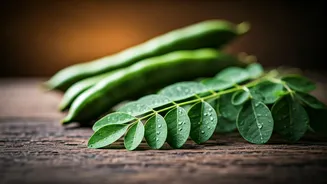 Healthy Indian Meals Are Borrowing Moringa Energy