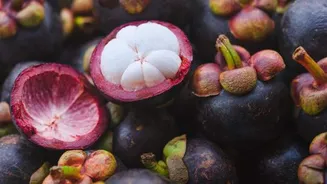 Mangosteen: A tropical fruit rich in antioxidants