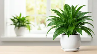 Related Stories banner