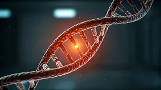 Related Stories banner