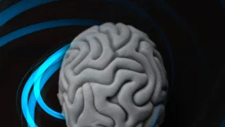 A Fixed Pause Can Reduce Repeat Decisions About the Same Item