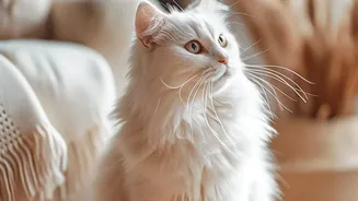 International Cat Day Can Begin with a Room-by-Room Safety Check