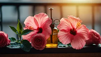 Use Natural Banana Peel Liquid Spray For Flowering Balcony Blooms