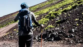 Nordic Walking's Fitness Revival Puts Beginner-Friendly Form In Focus