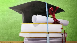 Navigating Income Tax Slabs: How Fresh Graduates Select New Or Old Regime