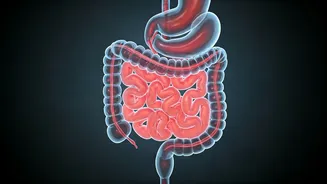 Gut-Healing Habits: Transform Your Health Before 2026