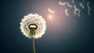 Seven Divine Names: Beautiful Baby Names Meaning 'Gift from God'