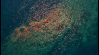What NASA Latest Marine Satellite Images Tell Us About Rising Sea Temperatures Today