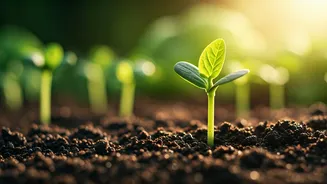 Related Stories banner