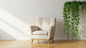 Style Cozy Reading Alcoves Using Trailing Devil's Ivy And Linen