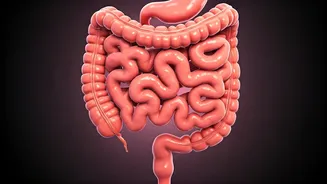 Lactose Intolerance: Understanding the Unexpected Shift