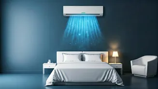 Bengaluru's Heatwave Hack: Hotel Room as an AC Oasis Sparks Online Debate