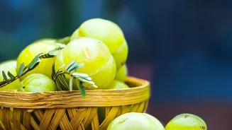 Pratapgarh In Uttar Pradesh Is Known As India's Amla Capital