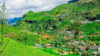 How To Enjoy Low Cost Solo Travel Across Sri Lanka Tea Country Villages