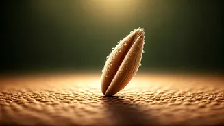 Oat Power: Unlocking Cholesterol Control and Health Boosts in Just 2 Days!