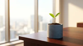 How Starting Small Monthly SIPs Early Beats Traditional Bank Recurring Deposit Returns