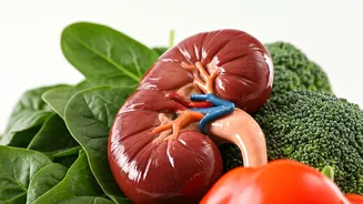 Improve Kidney Health With Diet and Lifestyle