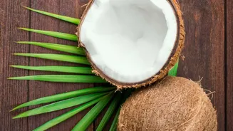 Coconut Husk Acoustic Panels Offer A Sustainable Replacement For Synthetic Plastic Wall Foam