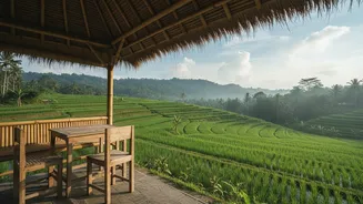 Exploring Bali On Budget: How Solo Travellers Cut Food Costs At Warungs