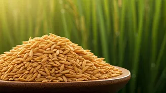 Rice Bran Brings Balance To Beauty Shelves