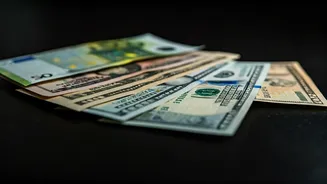 Decoding Mutual Funds: Your Guide to Investing