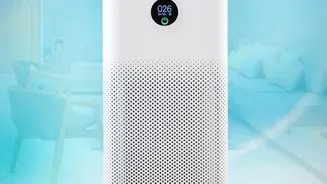 Home Air Monitors: What They Tell You