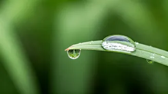 Related Stories banner