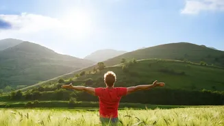 How Daily Early Sunlight Exposure Resets Body Clocks And Keeps Energy High