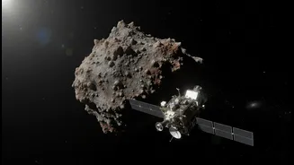 JAXA's July 5 Torifune Encounter: What to Verify before Making Decisions