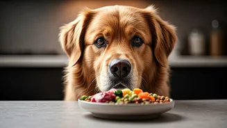 Indian pet parents ditch kibble for home food