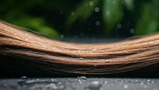 Monsoon Hair Wash Tips Everyone Should Know