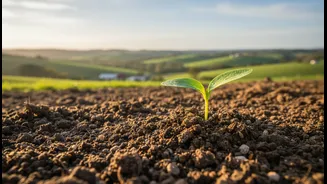 A Nearby Farm Can Carry More Story Than A Distant Luxury Brand
