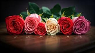 Valentine's Week 2026: A Complete Guide to the 7 Days of Love