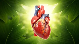 5 Proven Ways to Boost Longevity: Live Longer!