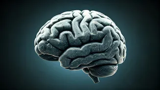 Sleep Smarter: 3 Ways Sleep Impacts Your Health