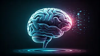 Meta's Brain Research Could Aid Future Diagnosis Work
