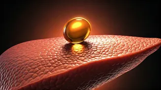 Vitamin D Toxicity: What Are The Risks?