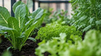 Urban Gardening Gets Better This July