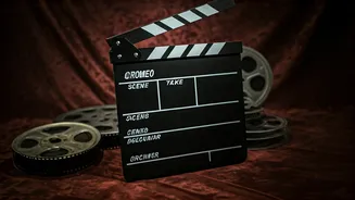 O Romeo's Journey: From Irrfan Khan to Shahid Kapoor