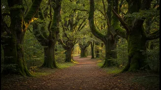 The New Walking Question Is Simple: Where Do You Feel Better?