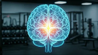 Unlock Your Strength: How Your Brain, Not Just Muscles, Drives Fitness Gains