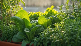 How Urban Families Turn Terrace Spaces Into Lush Edible Paradises