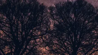 How Mobile Computational Astrophotography Capture High Detail Night Sky Photos